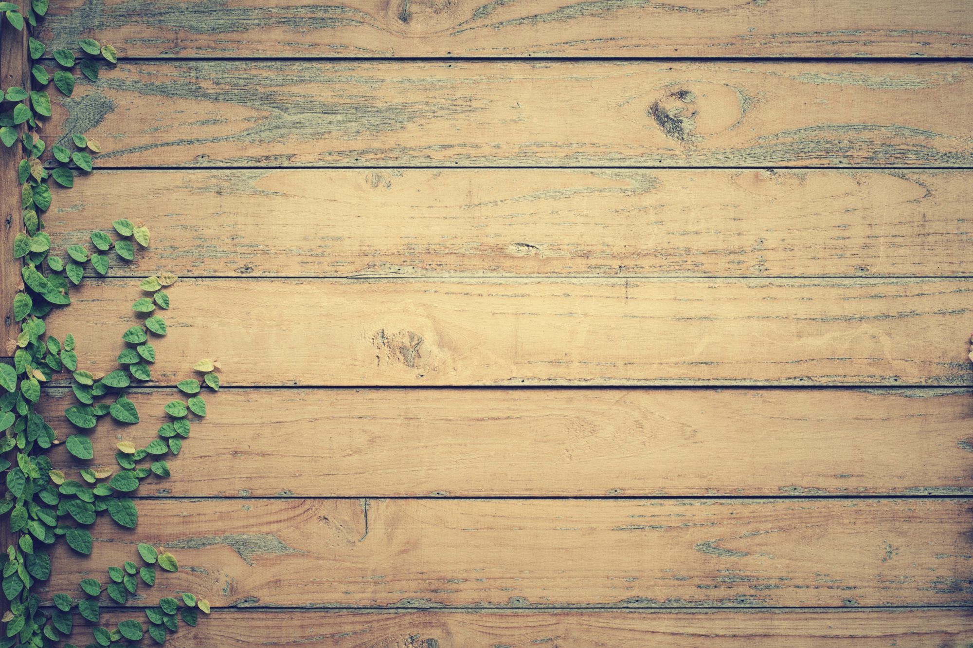 une palissade en bois avec du liere naturel préserve ta santé intérieur sain
